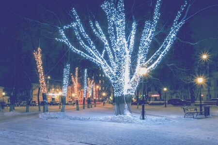 Winter park at night with christmas decorations, lights, bench on a foreground, pavement and trees.の写真素材