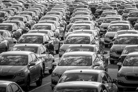 Volkswagen Group Rus, Russia, Kaluga - MAY 24, 2020: Rows of a new cars parked in a distribution center on a day in the spring, a car factory. Parking in the open air. Black and white photography.のeditorial素材