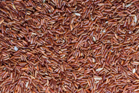 Texture of grains of red uncooked rice close-up.の写真素材