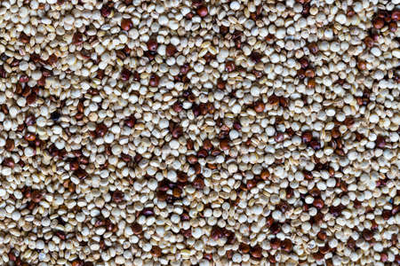 An overhead view of an uncooked mixture of red and white quinoa. Food texture.の写真素材