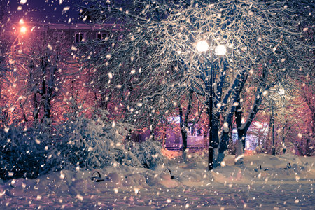 Winter night park with lanterns, pavement and trees covered with snow in heavy snowfall.の写真素材