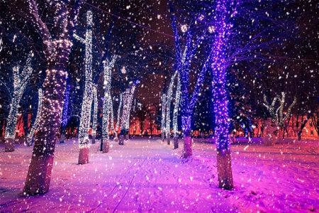 Winter night park with lanterns and Christmas decorations in heavy snowfall.の写真素材