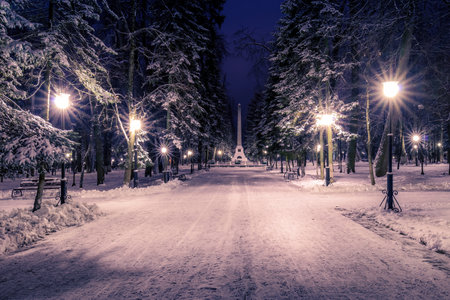 Winter park at night with lanterns, benches and trees covered with a snow. Landscape.の写真素材