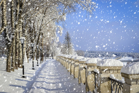 Strong snowfall in winter city park covered with snow on a sunny winter day.の写真素材