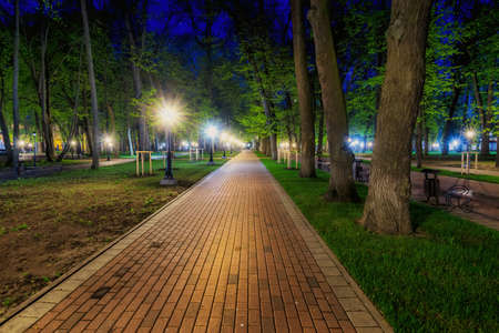 City night park in early summer or spring with pavement, lanterns, young green leaves and trees. Landscape.の写真素材