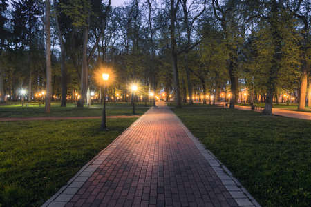 City night park in early summer or spring with pavement, lanterns, young green leaves and trees. Landscape.の写真素材