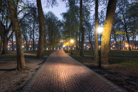City night park in early summer or spring with pavement, lanterns, young green leaves and trees. Landscape.の写真素材