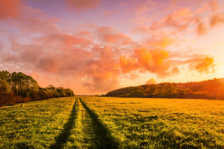 Sunset or sunrise in a spring field with green grass, willow trees and cloudy sky. Sunbeams making...