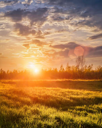 Sunrise or sunset in a spring field with green grass covered with a dew, fog, birch trees and coudy sky. Sunbeams making their way through the clouds.の写真素材