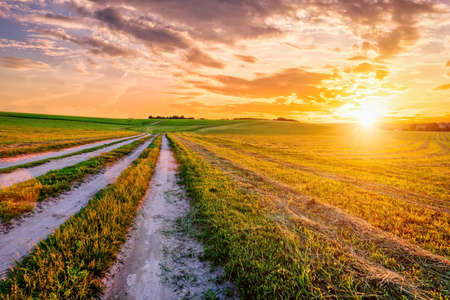 Sunset at cultivated land in the countryside on a summer evening with cloudy sky background....