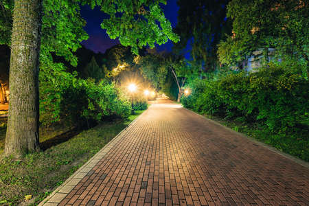 A night park lit by lanterns with a stone pavement, trees, fallen leaves and benches in early autumn. Cityscape.の写真素材
