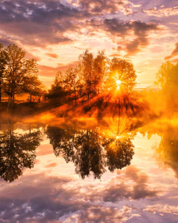 Golden misty sunrise on the pond in the autumn morning. Trees with rays of the sun cutting through...