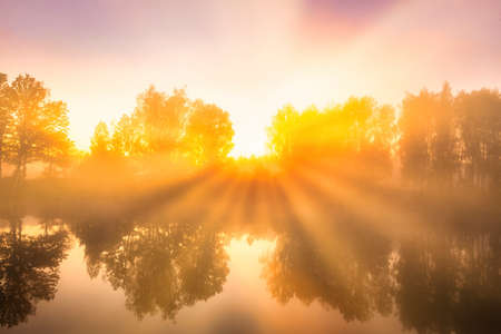Golden misty sunrise on the pond in the autumn morning. Trees with rays of the sun cutting through the branches, reflected in the water.の写真素材