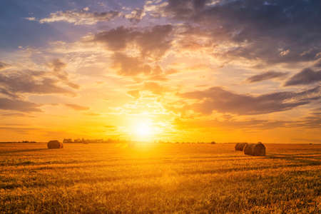 Sunset on the field with haystacks in Autumn season. Rural landscape with cloudy sky background in a sunny evening. Golden harvest of wheat.の写真素材