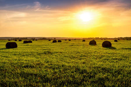 A field with haystacks on a summer or early autumn evening with a cloudy sky in the background. Procurement of animal feed in agriculture. Landscape. Sunset.の写真素材