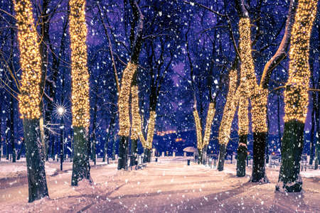 Snowfall in a winter park at night with christmas decorations, lights, pavement covered with snow and trees with garlands.の写真素材