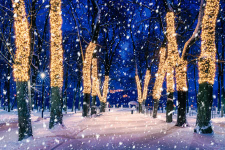 Snowfall in a winter park at night with christmas decorations, lights, pavement covered with snow and trees with garlands.の写真素材