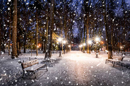 Snowfall in a winter park at night with christmas decorations, lights and pavement covered with snow. Falling snow.の写真素材