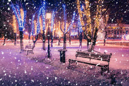Snowfall in a winter park at night with christmas decorations, lights, pavement covered with snow and trees with garlands.の写真素材