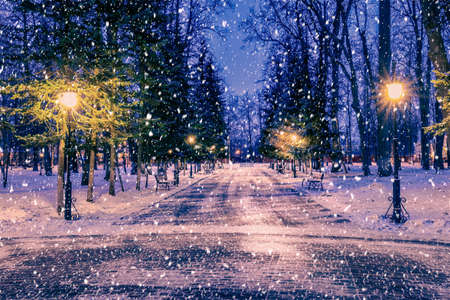 Snowfall in a winter park at night with christmas decorations, lights and pavement covered with snow. Falling snow.の写真素材