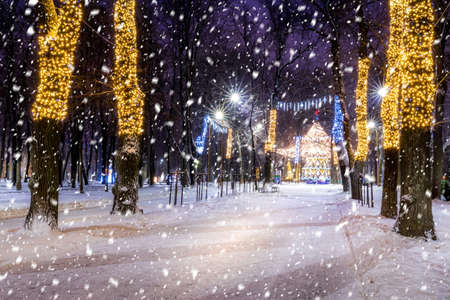 Snowfall in a winter park at night with christmas decorations, lights, pavement covered with snow and trees with garlands.の写真素材