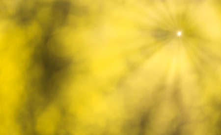 Blurred bokeh background image of bright yellow foliage and sunbeams in autumn. Abstract backdrop for design.の写真素材