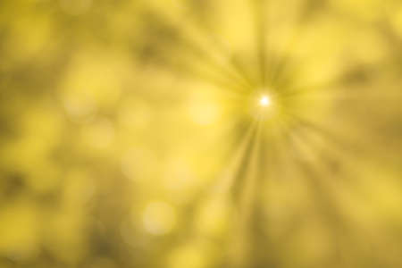 Blurred bokeh background image of bright yellow foliage and sunbeams in autumn. Abstract backdrop for design.の写真素材