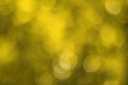 Blurred bokeh background image of bright yellow foliage in golden autumn. Abstract backdrop for design.の写真素材