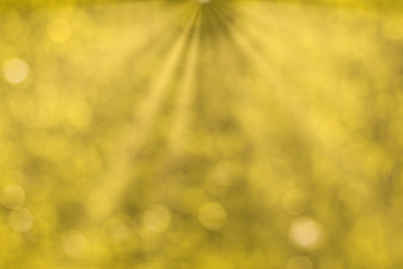 Blurred bokeh background image of bright yellow foliage and sunbeams in autumn. Abstract backdrop...