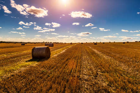 Scene with haystacks on the field in autumn sunny day. Rural landscape with cloudy sky background....