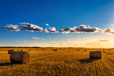 Scene with haystacks on the field in autumn sunny day. Rural landscape with cloudy sky background....