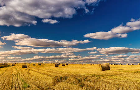 Scene with haystacks on the field in autumn sunny day. Rural landscape with cloudy sky background. Golden harvest of wheat in an agricultural field.の写真素材