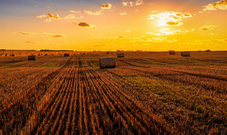 A field with haystacks on an autumn evening with a cloudy sky in the background at sunset or...