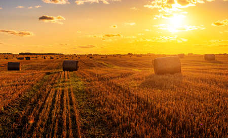 A field with haystacks on an autumn evening with a cloudy sky in the background at sunset or...