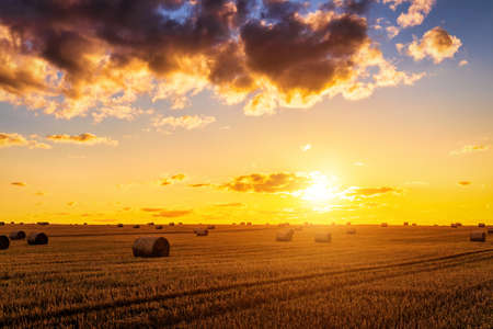 A field with haystacks on an autumn evening with a cloudy sky in the background at sunset or...
