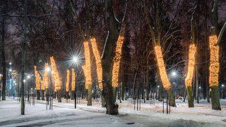 Winter park at night with christmas decorations, glowing lanterns, pavement covered with snow and trees.の写真素材