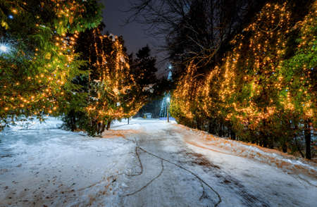 Winter park at night with christmas decorations, glowing lanterns, pavement covered with snow and trees.の写真素材