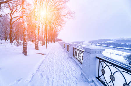 Winter park with trees, benches and pavement covered with snow after a snowfall in sunny day.の写真素材