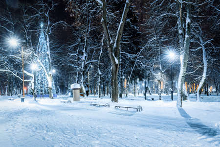 Winter park at night with christmas decorations, glowing lanterns, pavement covered with snow and trees.の写真素材