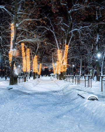 Winter park at night with christmas decorations, glowing lanterns, pavement covered with snow and trees.の写真素材