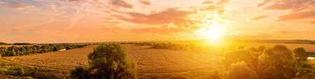 Top view of a sunset or sunrise in an agricultural field with ears of young golden rye or wheat with a cloudy sky. Rural landscape.の写真素材