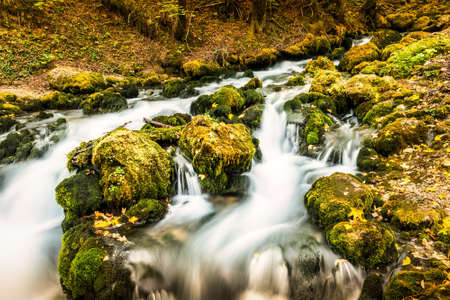 Stream among stones and trees on a cloudy day.