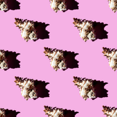 Seamless pattern of clam shells on a pink background. summertime concept.の写真素材
