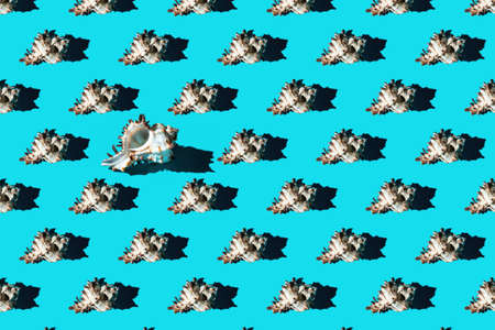 Pattern of clam shells on a cyan background. summertime concept.
