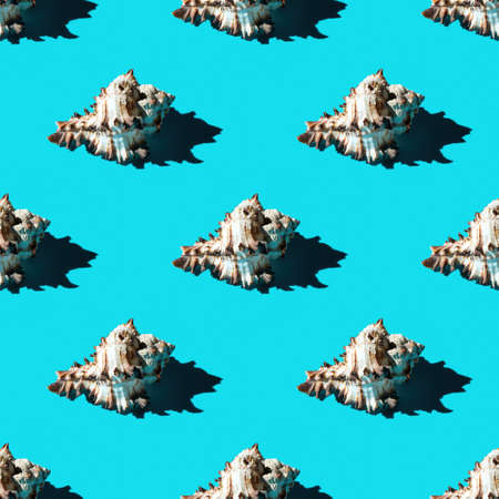 Seamless pattern of clam shells on a cyan background. summertime concept.の写真素材