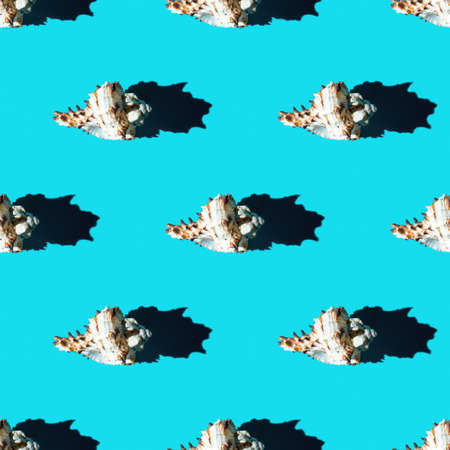 Seamless pattern of clam shells on a cyan background. summertime concept.