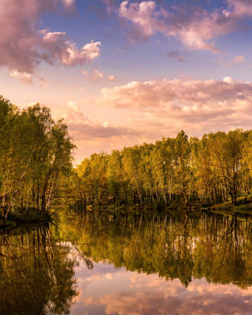 Sunrise on a pond with birch trees growing along the banks and the sky reflected in the water in early summer.の写真素材