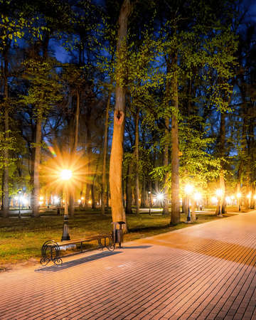 City night park in early summer or spring with pavement, lanterns, young green leaves and trees. landscape.の写真素材