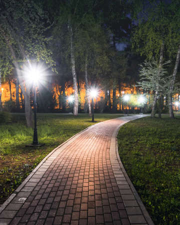 City night park in early summer or spring with pavement, lanterns, young green leaves and trees. landscape.の写真素材
