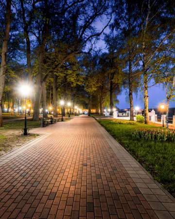 City night park in early summer or spring with pavement, lanterns, young green leaves and trees. landscape.の写真素材